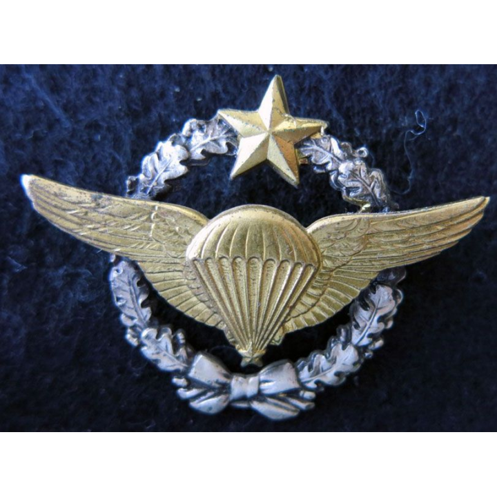 ARMÉE AIR : insigne métallique brevet militaire de parachutiste d'essai Drago Paris 43 mm