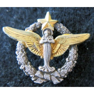 ARMÉE AIR : insigne métallique du pèlerinage militaire de Lourdes ABP 30 mm