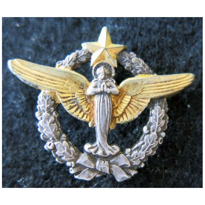 ARMÉE AIR : insigne métallique du pèlerinage militaire de Lourdes ABP 30 mm