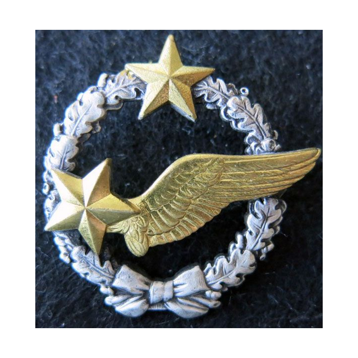 ARMÉE AIR : insigne métallique brevet d'élève pilote d'avion (actuel) Drago Paris 43 mm