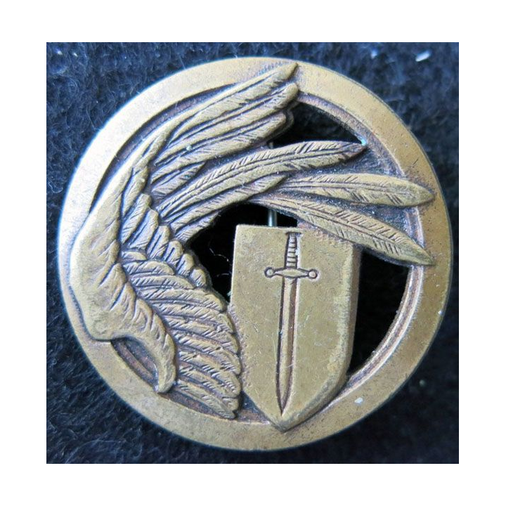 EISG : Insigne métallique de l'escadron d’instruction des services généraux de CAEN Drago A. 832