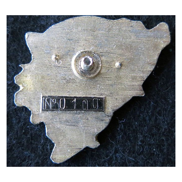 1° RCP : insigne du 1° régiment de chasseurs parachutistes, SFOR BATFRA 4, fabrication locale N° 0100