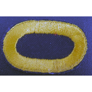USA : insigne du 507° Infantry Airborne Regiment US patch 