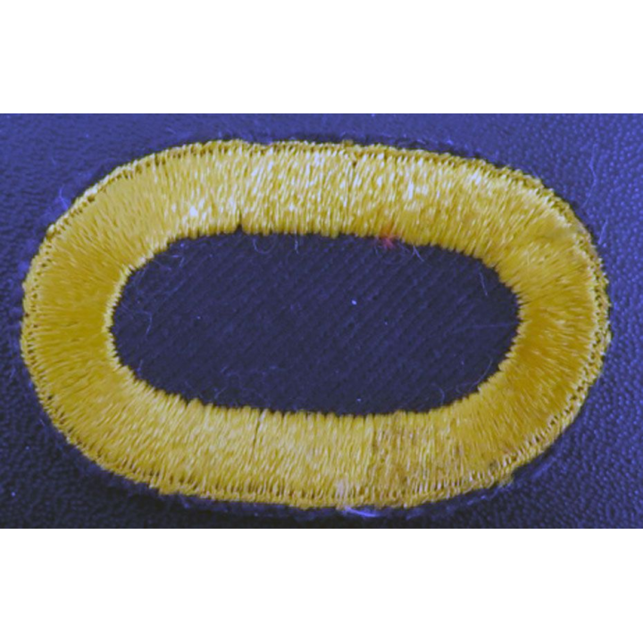 USA : insigne du 507° Infantry Airborne Regiment US patch 