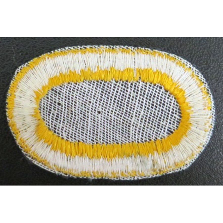 USA : insigne du 507° Infantry Airborne Regiment US patch 