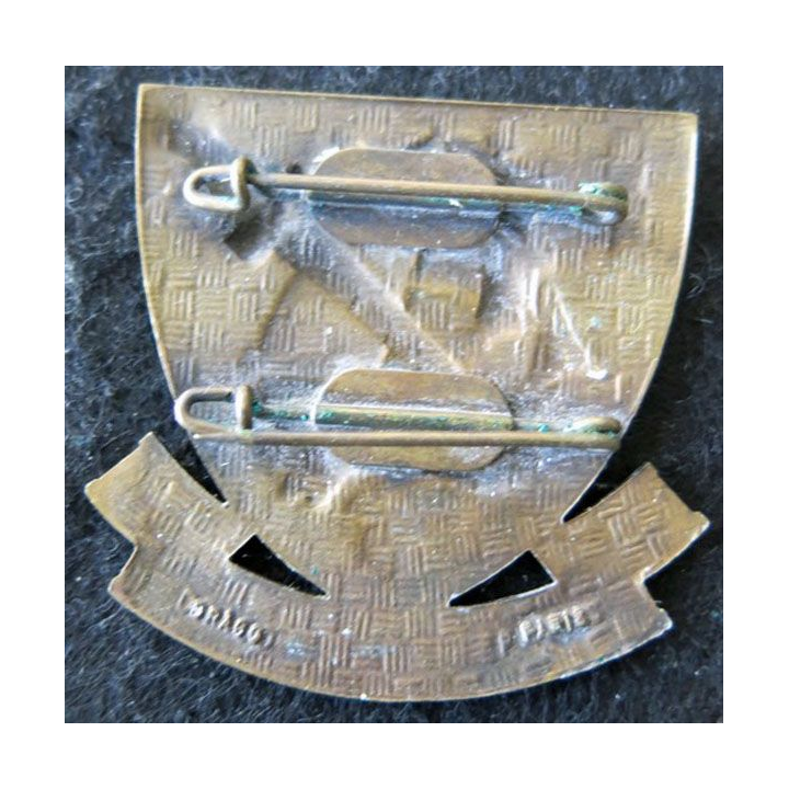 COMMANDO : insigne de béret des commandos Marine fabrication Drago Paris deux épingles