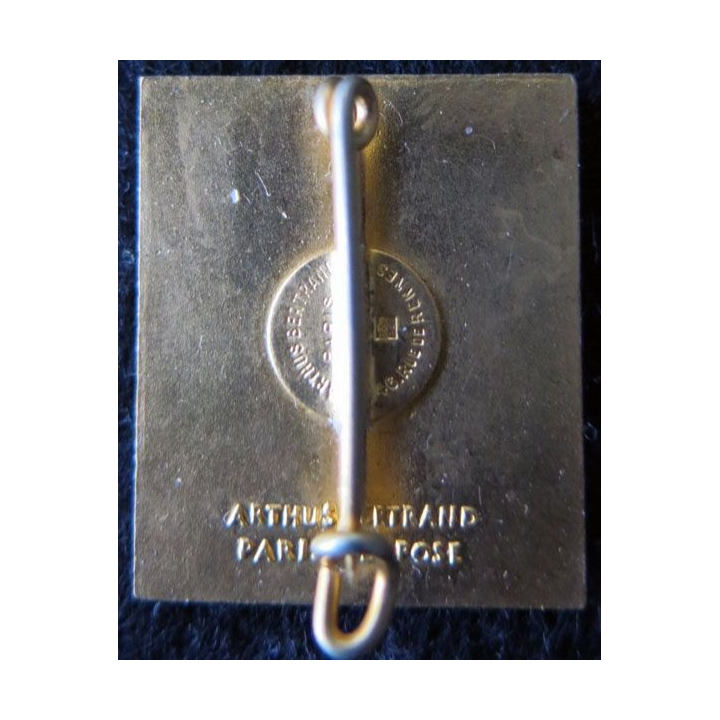 PLUTON : insigne du croiseur Pluton 1928 de fabrication Arthus Bertrand Paris Déposé ABPD en émail