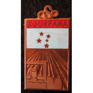 SAHARA : compagnie saharienne portée de la ZOUSFANA, Chobillon G. 924 en émail