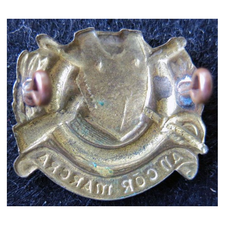 IRLANDE : insigne métallique du Cavalery Corps irish ( An Cór Marcra ) embouti