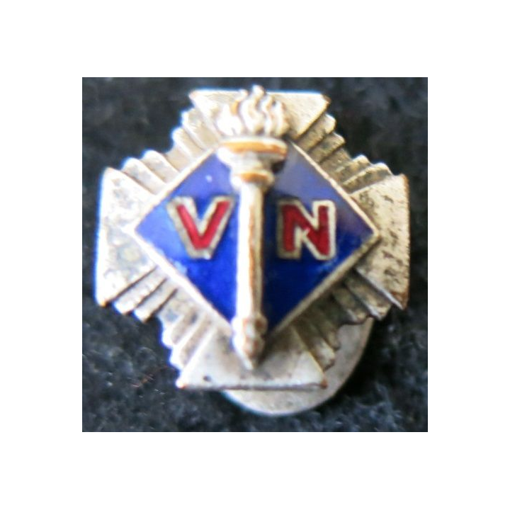 CROIX DE FEU : insigne de boutonnière des volontaires nationaux en émail 13 mm