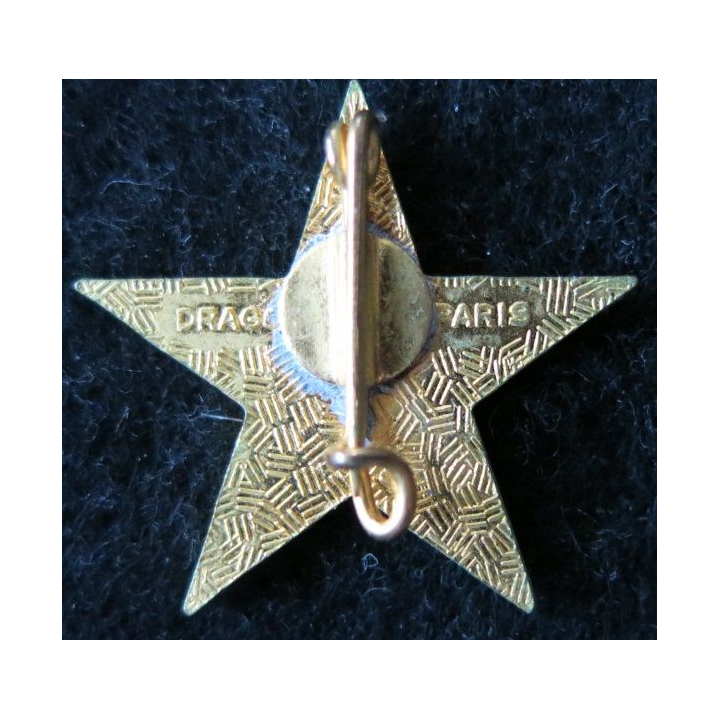 6° RTM : insigne métallique du 6° régiment de tirailleurs marocains Drago Paris en émail 23 mm