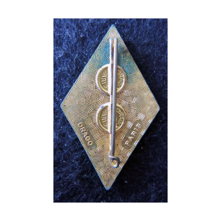 60° RI : insigne du 60° régiment d'infanterie Drago Paris en émail