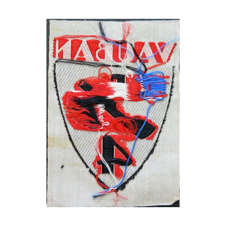 CJF 4 : insigne des chantiers de Jeunesse n° 4 Vauban