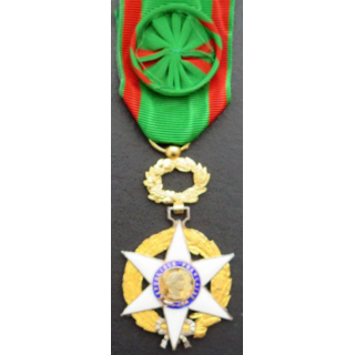 FRANCE : médaille Officier du mérite agricole 1883 en vermeil
