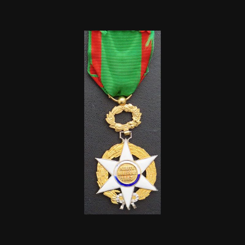 Médaille Du Mérite Agricole (1883) - Grade Chevalier - Argent - Occasion - Pièce De Collection Française