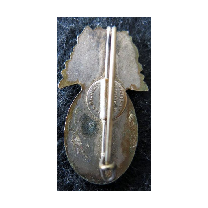 99° RI : 99° régiment infanterie Alpine de fabrication Augis Lyon bronze