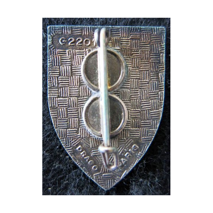 99° RI : 99° régiment  d’infanterie Drago Paris G. 2201 en émail