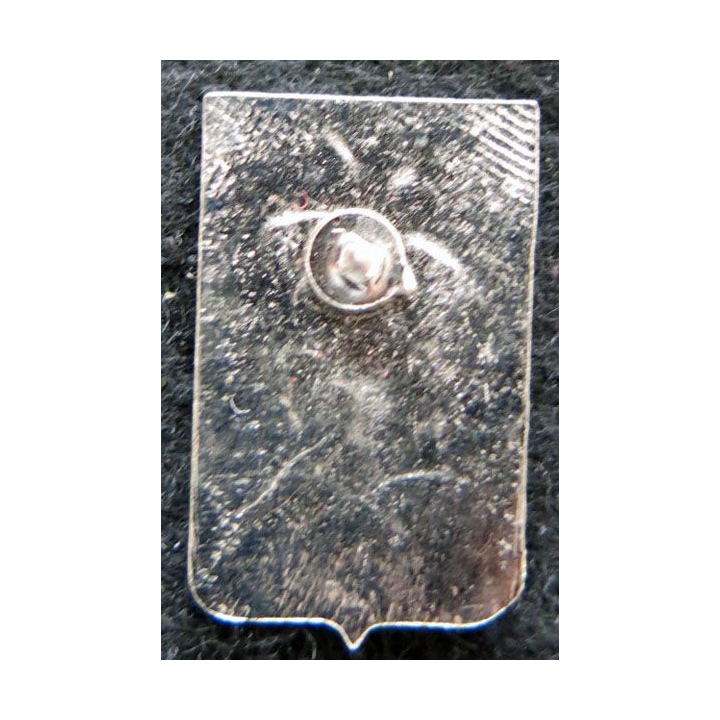 PIN'S DIVISION DAGUET : pin's métallique de la division Daguet 25 mm