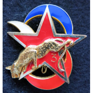 3° DB : Escadron d'éclairage divisionnaire de la 3° division blindée de fabrication Delsart G. 2850