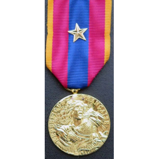 FRANCE : médaille de la défense nationale type or avec citation (étoile or)
