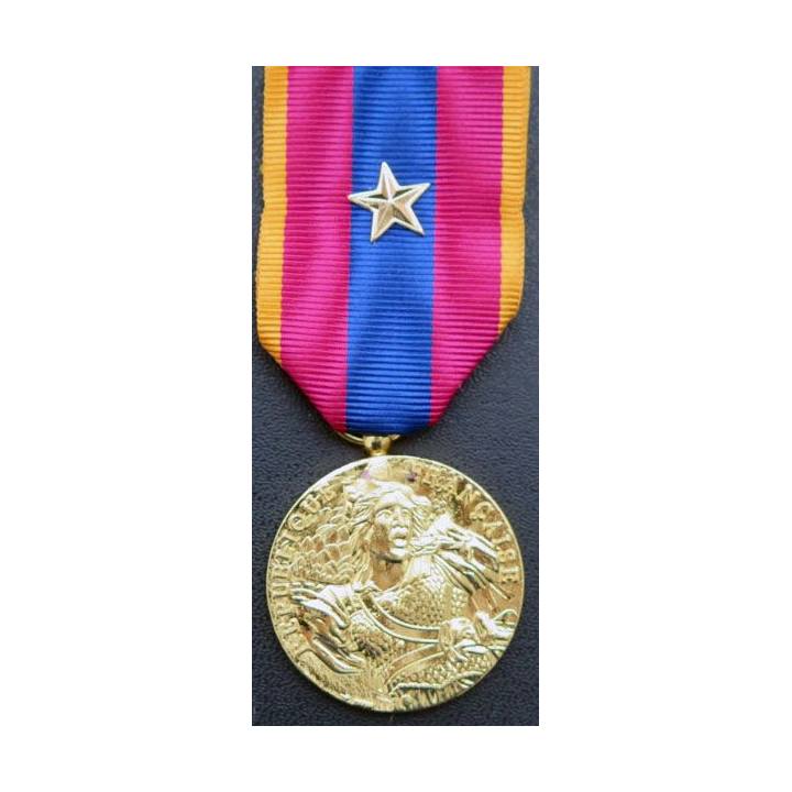 FRANCE : médaille de la défense nationale type or avec citation (étoile or)