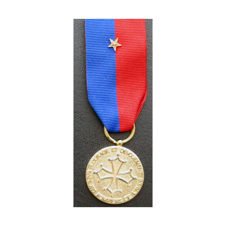 FRANCE : médaille des sapeurs pompiers de l'Aude avec citation