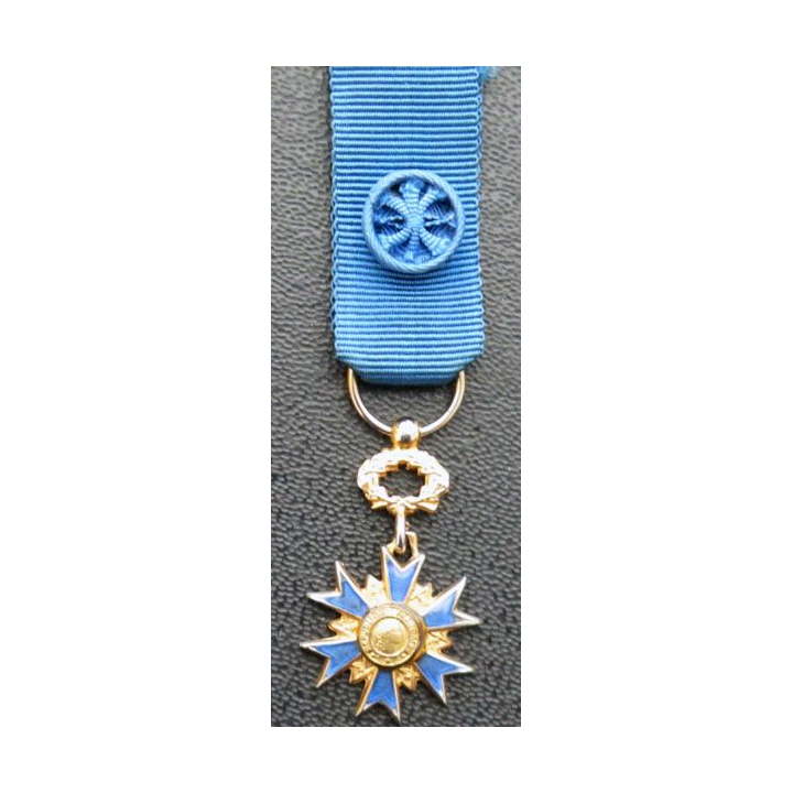 médaille miniature d'officier de l'Ordre National du Mérite en bronze doré
