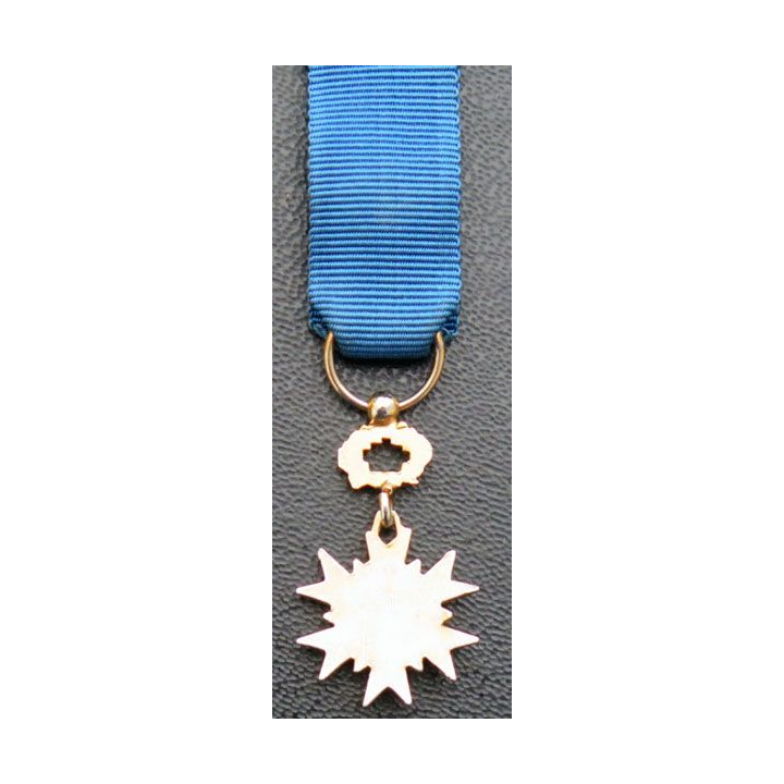 médaille miniature d'officier de l'Ordre National du Mérite en bronze doré