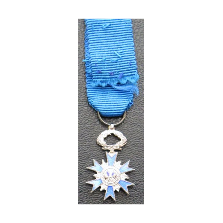 FRANCE : chevalier de l'Ordre National du Mérite en argent et émail