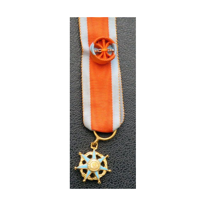 Médaille miniature d'officier de l'Ordre du Mérite Social 