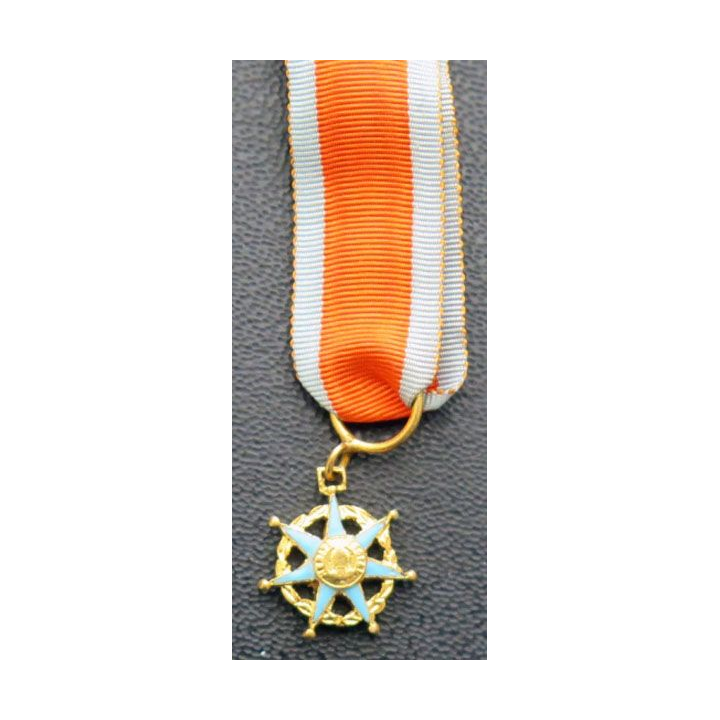 Médaille miniature d'officier de l'Ordre du Mérite Social 