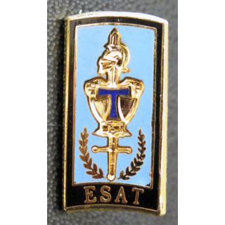 ESAT : pin's de l'école supérieure et d'application des transmissions fabrication JMM