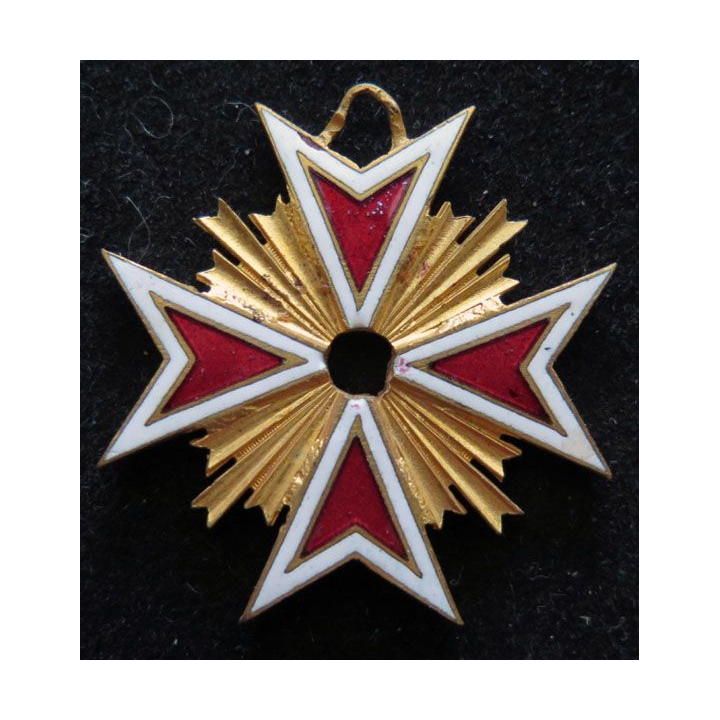 morceau de médaille du dévouement artistique en émail