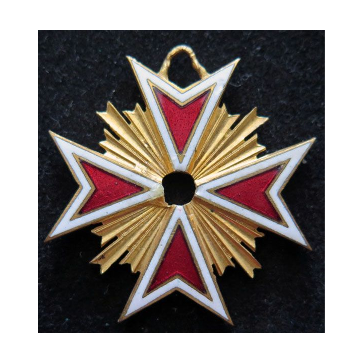 morceau de médaille du dévouement artistique en émail