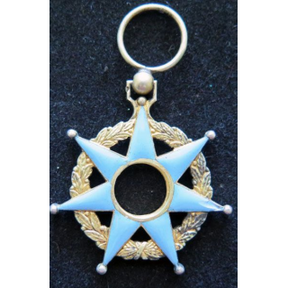 FRANCE : centre de médaille de l'Ordre du mérite social en émail