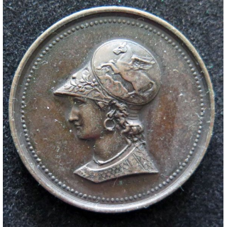 médaille de bronze de l'école nationale de dessin jeunes filles 1876