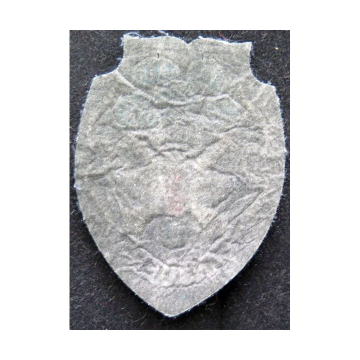 insigne tissu du Camp de Canjuers