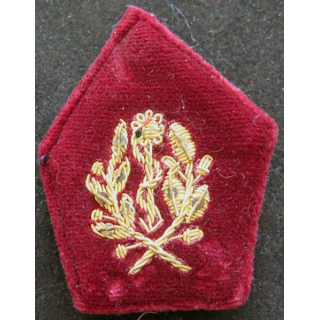 soutache de col de médecin service de santé en cannetille