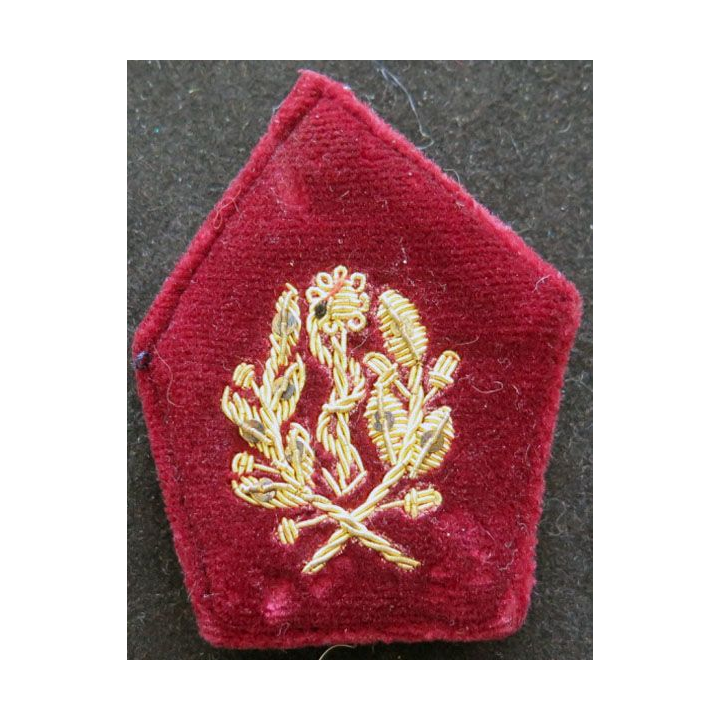 soutache de col de médecin service de santé en cannetille
