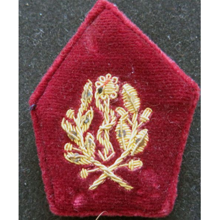 soutache de col de médecin service de santé en cannetille