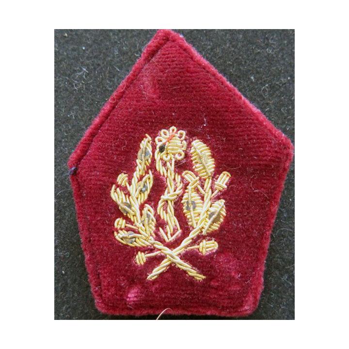 soutache de col de médecin service de santé en cannetille