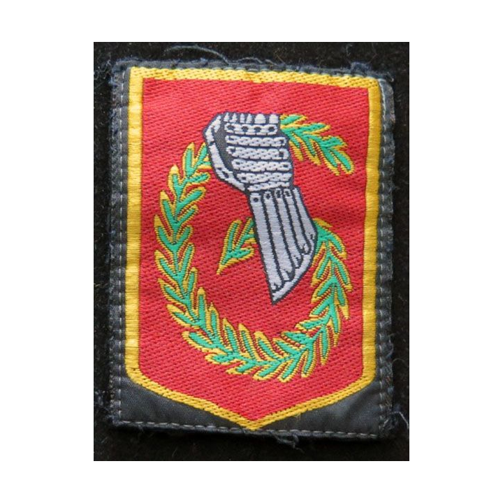 6° BLB : insigne tissu de la 6° Brigade légère blindée 5,5 x 7,2 cm
