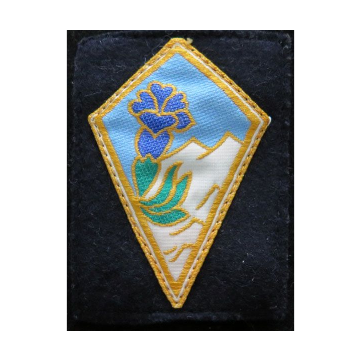 27° BA : insigne tissu de la 27° brigade alpine sur tissu noir et crochets