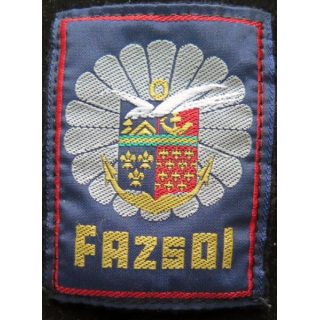 FAZSOI : insigne de manche des Forces Armées Zone Sud Océan Indien 