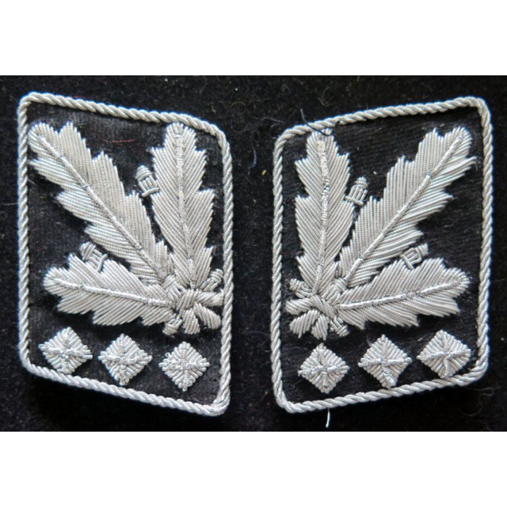 Pattes de col allemand d'Oberstgruppenführer WW2 en canetille argent