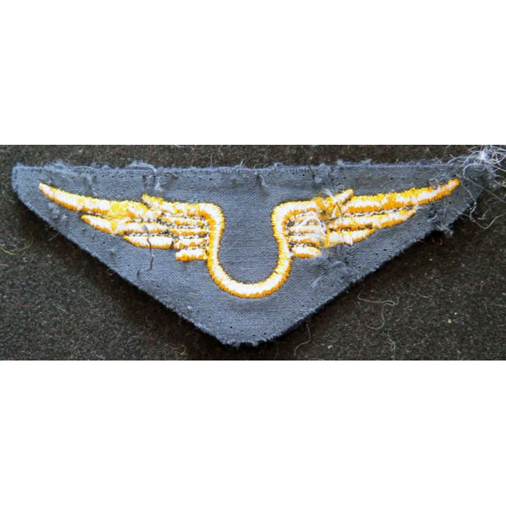 Insigne tissu de l'armée de l'air troupe orange 