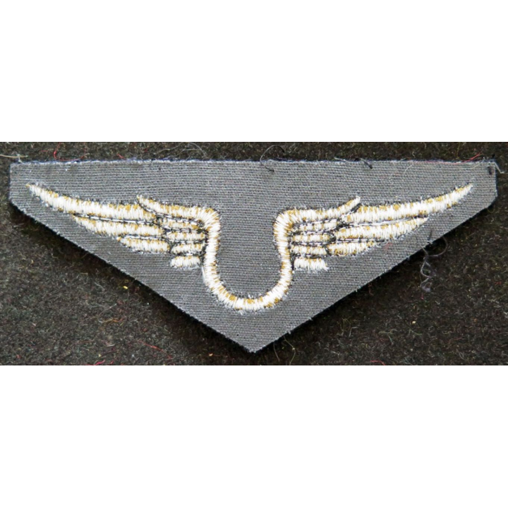 Insigne tissu de l'armée de l'air personnel non navigant