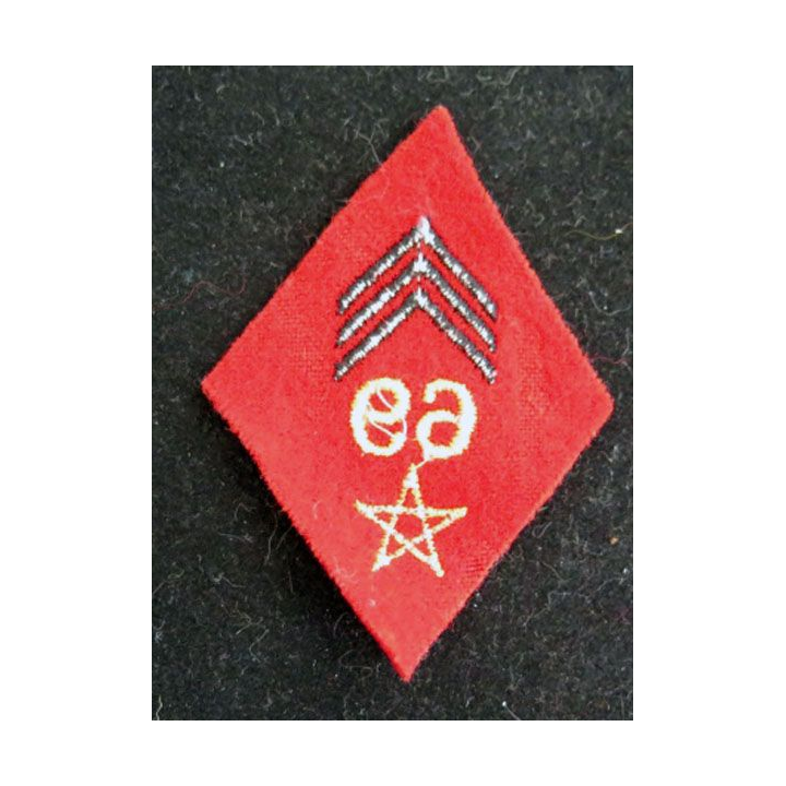 LOSANGE DE BRAS 69° Régiment d'artillerie antiaérienne 69° RAA cadre