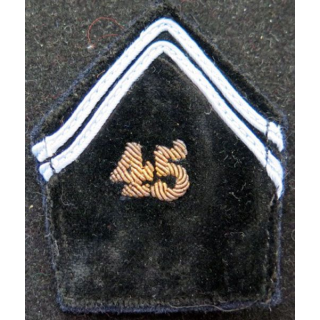 SOUTACHE : insigne de col du 45° transmissions en canetille