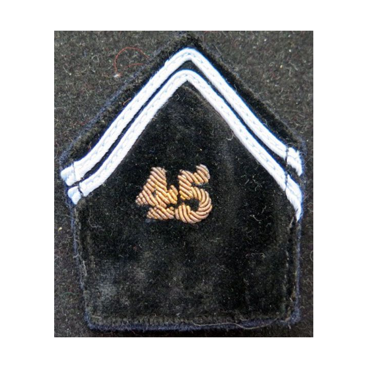 SOUTACHE : insigne de col du 45° transmissions en canetille
